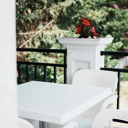 Flower Apartment *